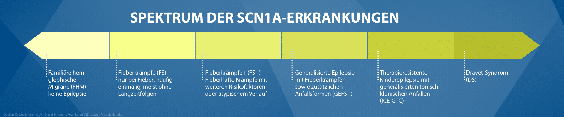 Übersicht Epilepsien im SCN1A-Krankheistspektrum